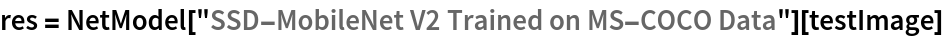 res = NetModel["SSD-MobileNet V2 Trained on MS-COCO Data"][testImage]