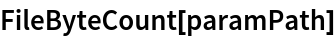 FileByteCount[paramPath]