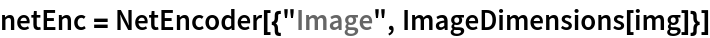 netEnc = NetEncoder[{"Image", ImageDimensions[img]}]