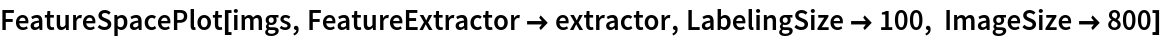 FeatureSpacePlot[imgs, FeatureExtractor -> extractor, LabelingSize -> 100, ImageSize -> 800]