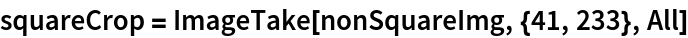 squareCrop = ImageTake[nonSquareImg, {41, 233}, All]