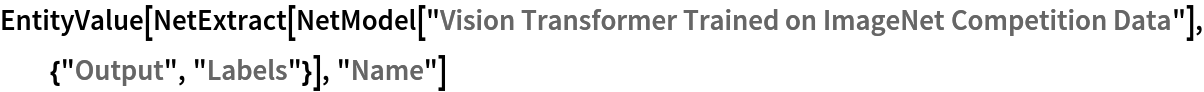 EntityValue[
 NetExtract[
  NetModel[
   "Vision Transformer Trained on ImageNet Competition Data"], {"Output", "Labels"}], "Name"]
